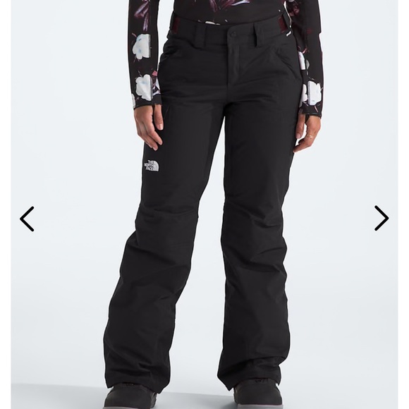 North Face Freedom Insulated Snow Pants - Picture 2 of 11